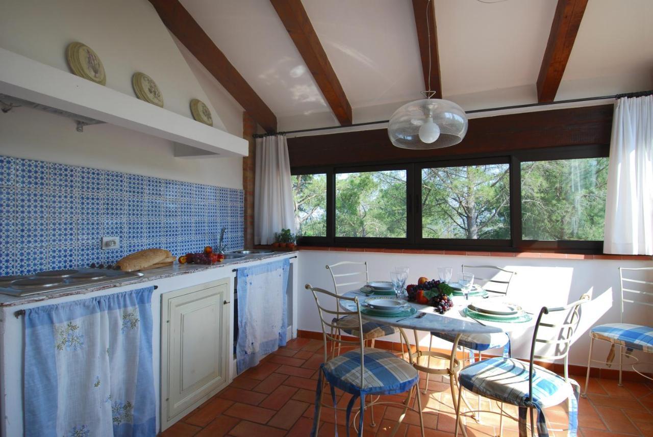 Agriturismo Raccianello San Gimignano Dış mekan fotoğraf