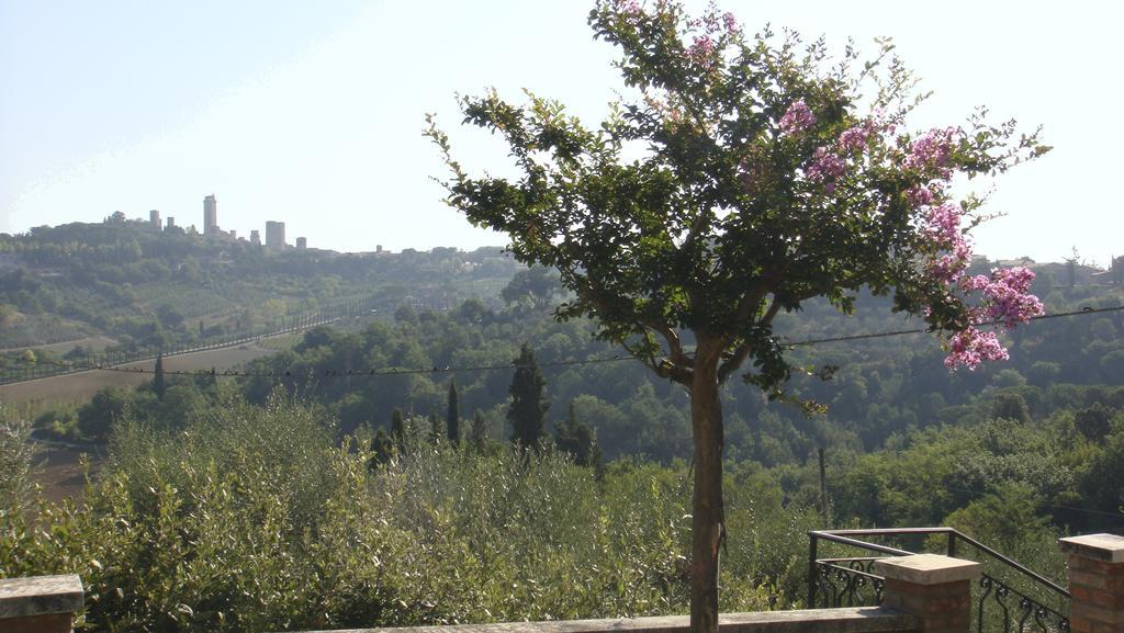 Agriturismo Raccianello San Gimignano Dış mekan fotoğraf